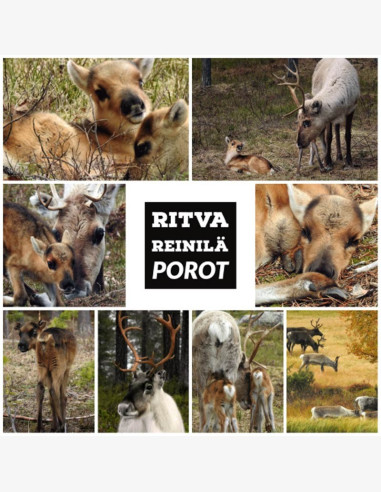 Porot-korttilajitelma (Ritva Reinilä)