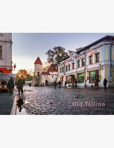 Taneli Eskola - Viru Gate, Tallinn Old Towers