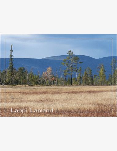 Lappi