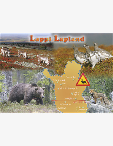 Lappi